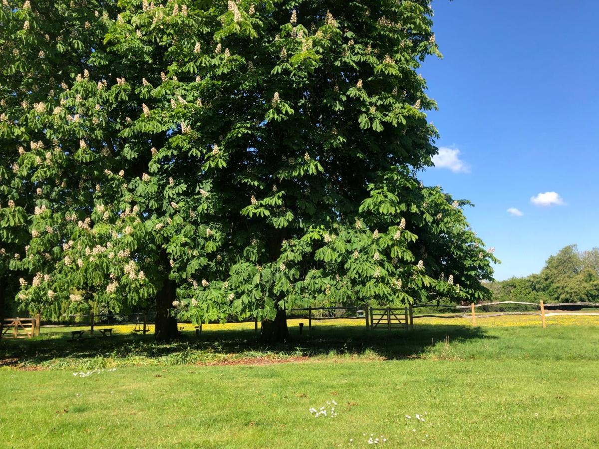 شيشستر Ryefield Cottage - Luxurious Self-Catered Holiday Cottage With A Log Burner المظهر الخارجي الصورة