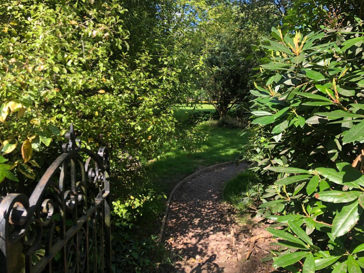 شيشستر Ryefield Cottage - Luxurious Self-Catered Holiday Cottage With A Log Burner المظهر الخارجي الصورة